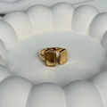 Twin Rectangle Adjustable Ring